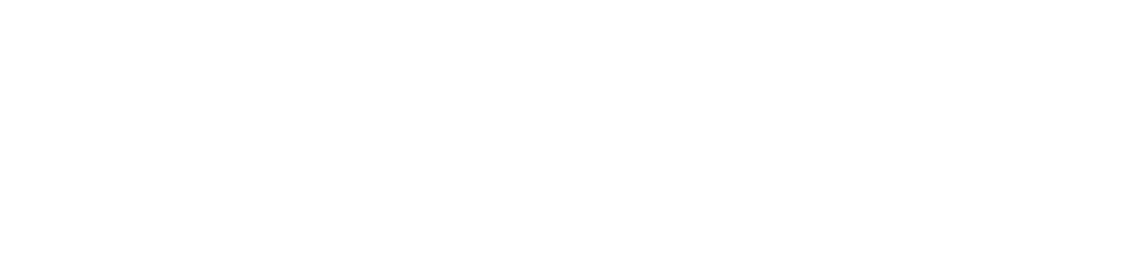 Statistical Solutions